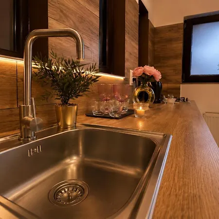 Apartman Golden Nest - Craiova